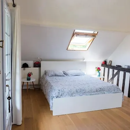 Avec Piscine, Jardin *